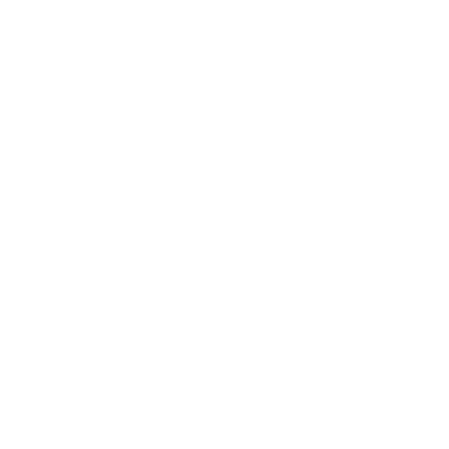 Froxt Logo